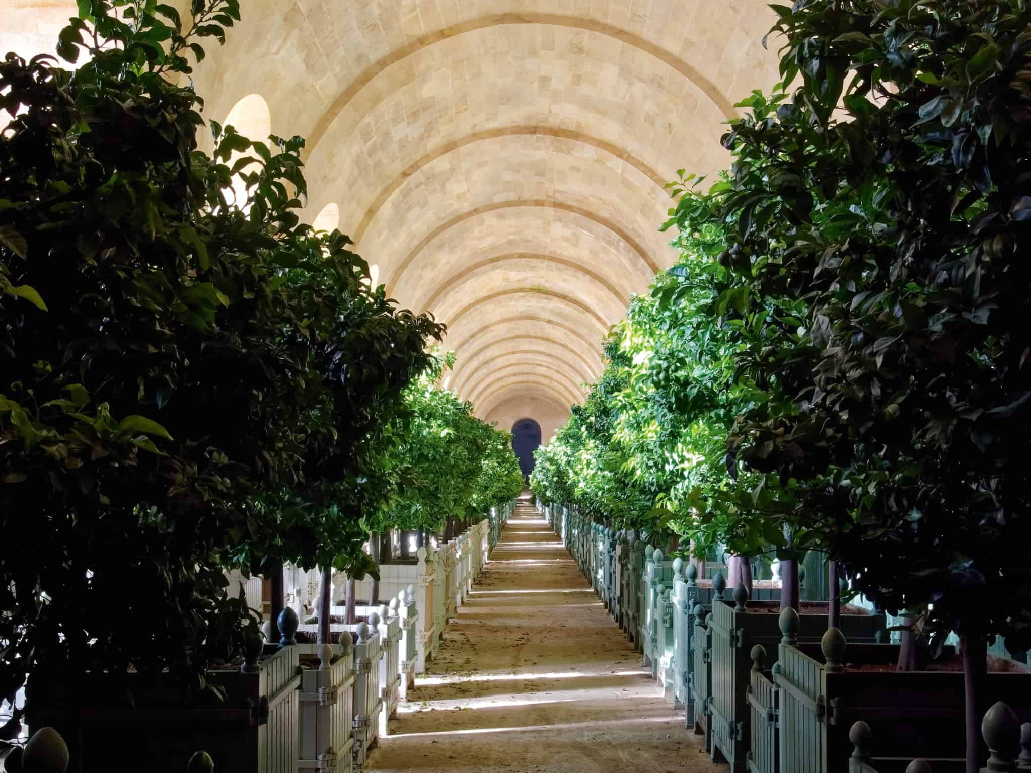 Jardins Du Roi Soleil | Mobilier de Jardin du Château de Versailles